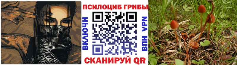 как найти закладки  Туймазы  Галлюциногенные грибы MAGIC MUSHROOMS 