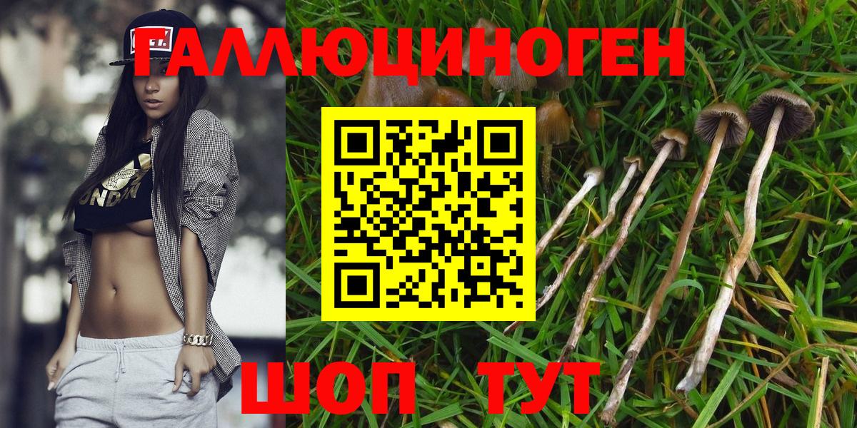 закладка  Галлюциногенные грибы Psilocybine cubensis  Вход с VPN  Туймазы 