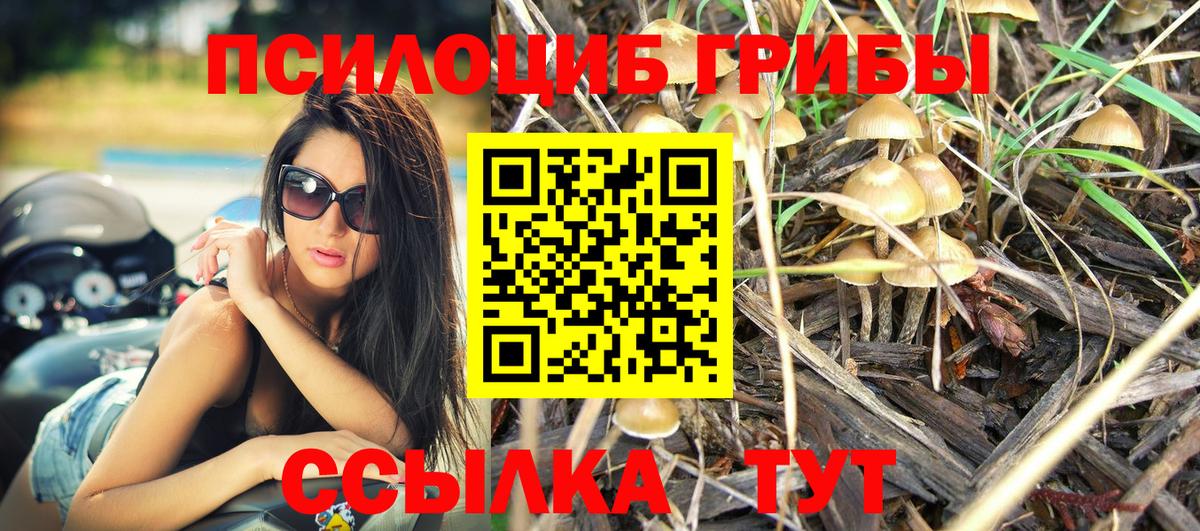 Галлюциногенные грибы Magic Shrooms Туймазы